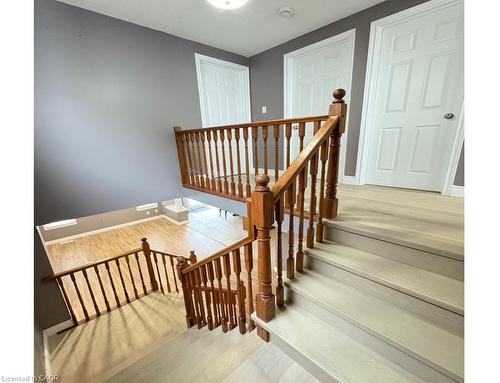 51 Sophia Crescent, Kitchener, ON - Indoor Photo Showing Other Room