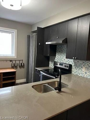 52 Chapel Street, Kitchener, ON - Indoor Photo Showing Kitchen With Double Sink