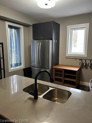 52 Chapel Street, Kitchener, ON - Indoor Photo Showing Kitchen With Double Sink