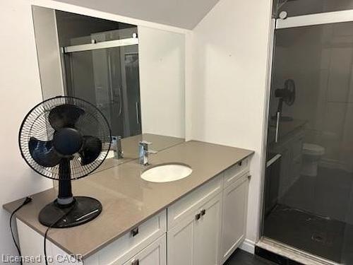 52 Chapel Street, Kitchener, ON - Indoor Photo Showing Bathroom