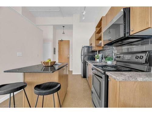 524-410 King Street W, Kitchener, ON - Indoor Photo Showing Kitchen