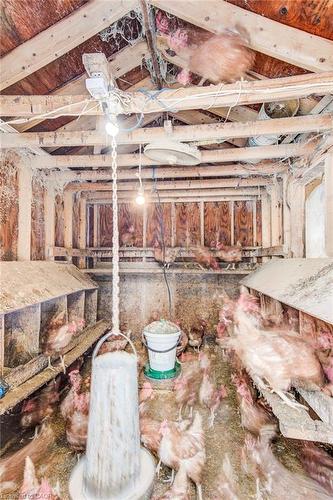 59 Washington Street E, Washington, ON - Indoor