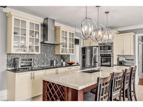 20 Chesswood Trail, Hamilton, ON - Indoor Photo Showing Kitchen With Upgraded Kitchen