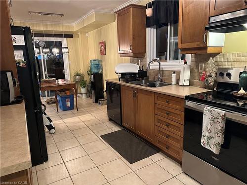 3 Lanza Court, Hamilton, ON - Indoor Photo Showing Kitchen With Double Sink