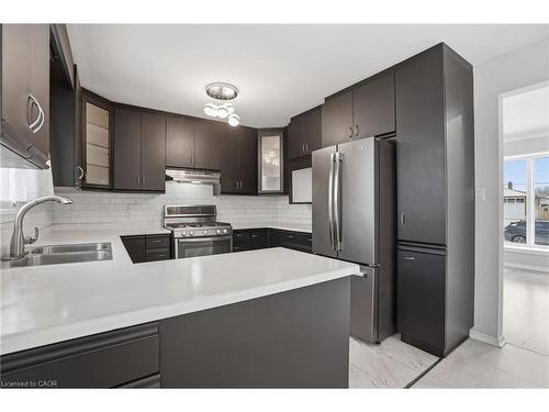 93 Wellington Street, Welland, ON - Indoor Photo Showing Kitchen With Stainless Steel Kitchen With Double Sink