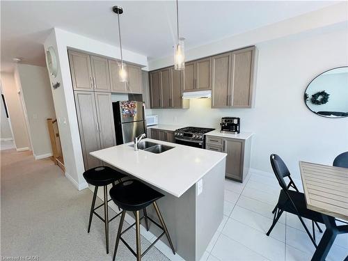 11 Cherry Blossom Heights, Hamilton, ON - Indoor Photo Showing Kitchen With Double Sink