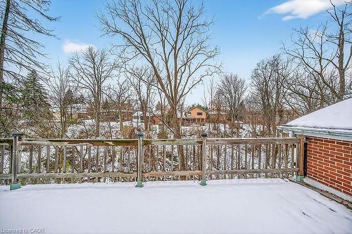 9 Daleview Court, Hamilton, ON - Outdoor
