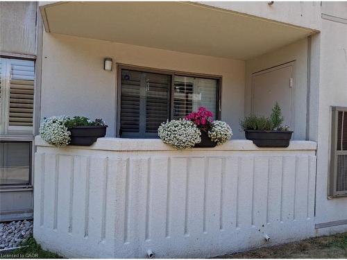 3267 King Street, Kitchener, ON - Outdoor With Exterior