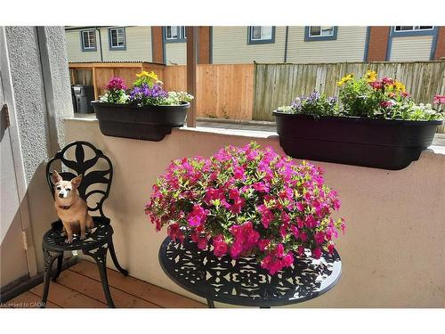 3267 King Street, Kitchener, ON - Outdoor