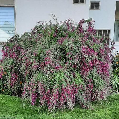 3267 King Street, Kitchener, ON - Outdoor