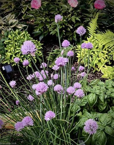 245 John Rosa Street E, Listowel, ON - Outdoor