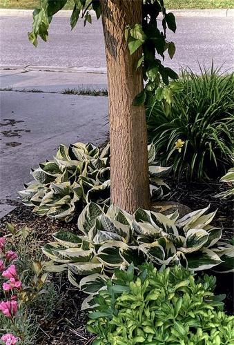 245 John Rosa Street E, Listowel, ON - Outdoor With Body Of Water