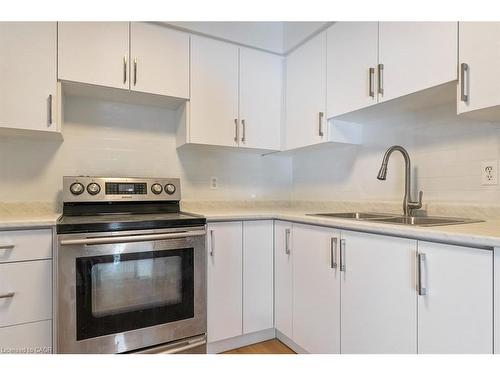 202-250 Montmorency Drive, Hamilton, ON - Indoor Photo Showing Kitchen With Double Sink