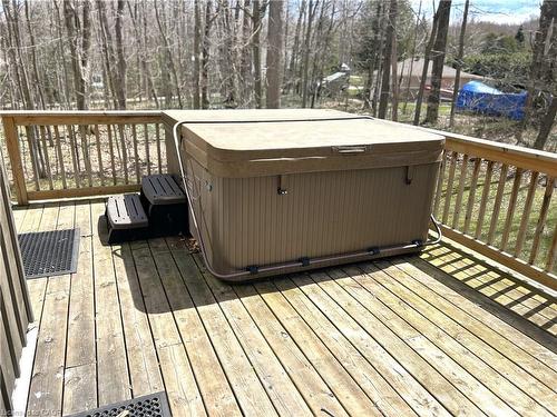 234 Canrobert Street, Eugenia, ON - Outdoor With Deck Patio Veranda