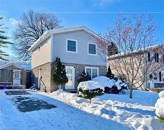 46 Barwood Crescent  Kitchener, ON N2E 1V1