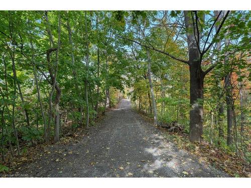 3169 King Street, Vineland, ON - Outdoor