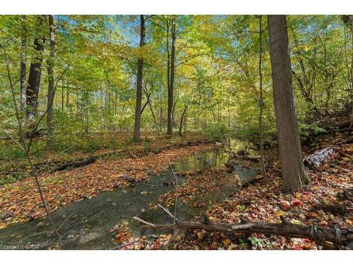 3169 King Street, Vineland, ON - Outdoor With View