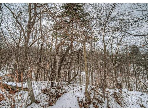 154 St Andrews Drive, Hamilton, ON - Outdoor With View