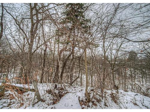 154 St Andrews Drive, Hamilton, ON - Outdoor With View