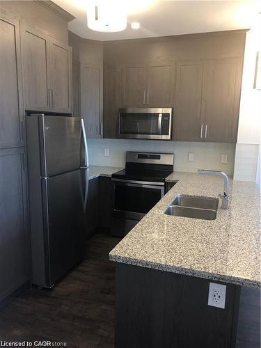 405-101 Locke Street S, Hamilton, ON - Indoor Photo Showing Kitchen With Double Sink With Upgraded Kitchen