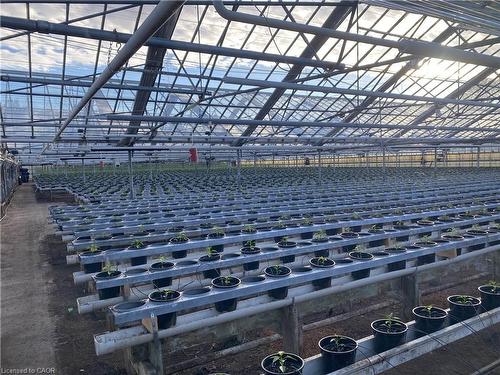 5220-5226 Greenlane Road, Beamsville, ON 