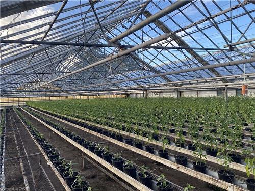 5220-5226 Greenlane Road, Beamsville, ON 