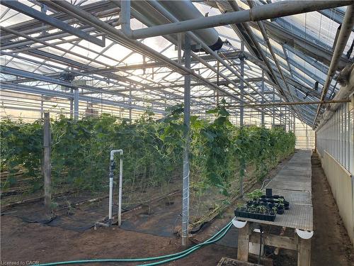 5220-5226 Greenlane Road, Beamsville, ON 