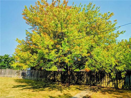 85 Dodson Street, Hamilton, ON - Outdoor