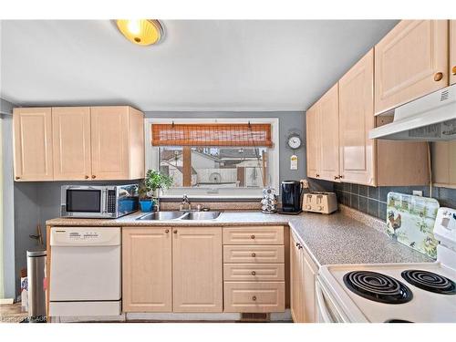 46 Adeline Avenue, Hamilton, ON - Indoor Photo Showing Kitchen With Double Sink