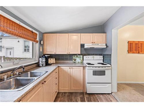 46 Adeline Avenue, Hamilton, ON - Indoor Photo Showing Kitchen With Double Sink