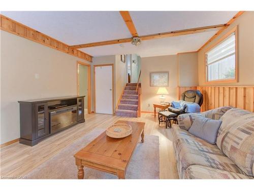 33 Manor Drive, Kitchener, ON - Indoor Photo Showing Living Room