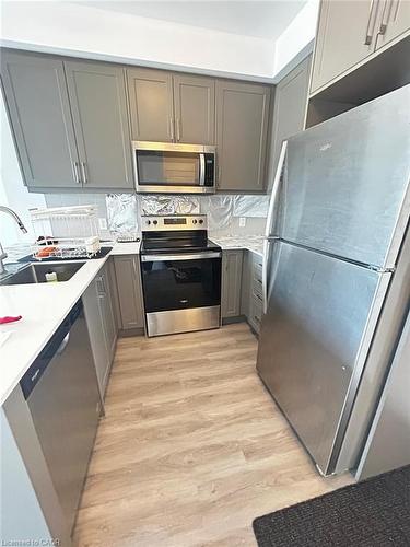 303-1000 Lackner Place, Kitchener, ON - Indoor Photo Showing Kitchen With Stainless Steel Kitchen With Double Sink