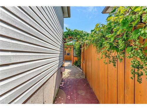 39 Marilyn Court, Hamilton, ON - Outdoor