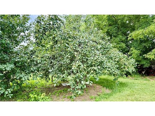 1665 Cockshutt Road, Waterford, ON - Outdoor