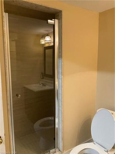 486B Kingscourt Drive, Waterloo, ON - Indoor Photo Showing Bathroom