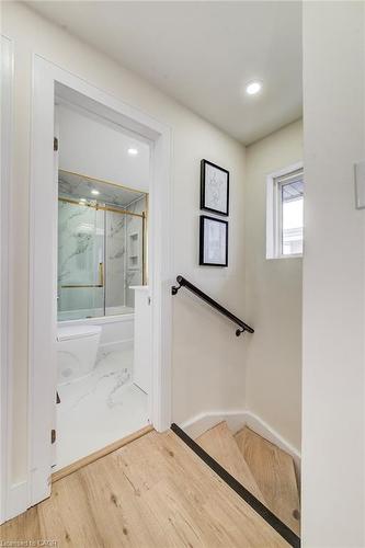 117 Secord Avenue, Kitchener, ON - Indoor Photo Showing Other Room