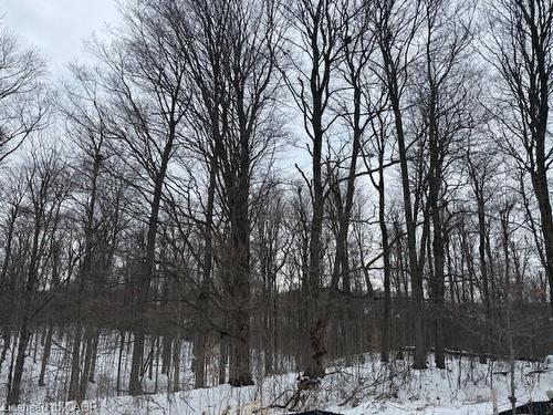 309-1100 Lackner Place, Kitchener, ON - Outdoor With View