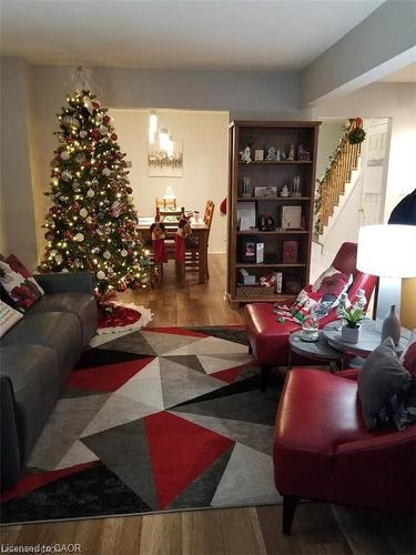 185 Sulmona Drive, Hamilton, ON - Indoor Photo Showing Living Room