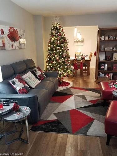 185 Sulmona Drive, Hamilton, ON - Indoor Photo Showing Living Room