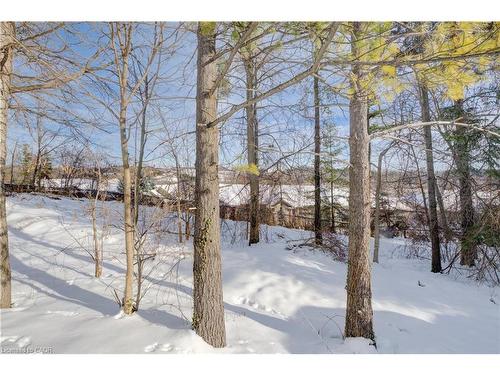 33 Tinatawa Court, Kitchener, ON - Outdoor With View
