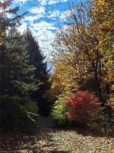 1966 Concession 2 Road W, Lynden, ON 