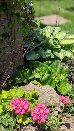 22 Redwing Road, Hamilton, ON - Outdoor