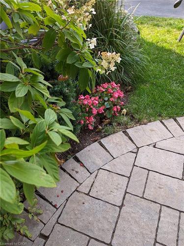 22 Redwing Road, Hamilton, ON - Outdoor