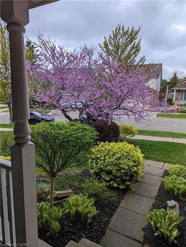 148 Winding Wood Crescent, Kitchener, ON - Outdoor