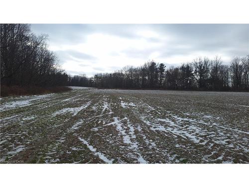 0 Plank Road, Vienna, ON 