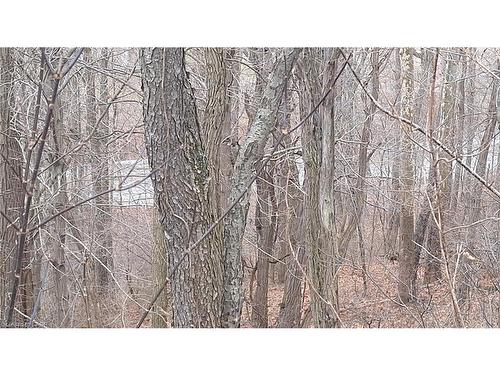 0 Plank Road, Vienna, ON 