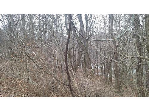 0 Plank Road, Vienna, ON 