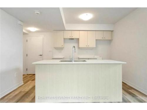 Lower-23 Holder Drive, Brantford, ON - Indoor Photo Showing Kitchen