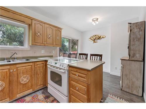 42 Shanley Street, Kitchener, ON - Indoor Photo Showing Kitchen With Double Sink