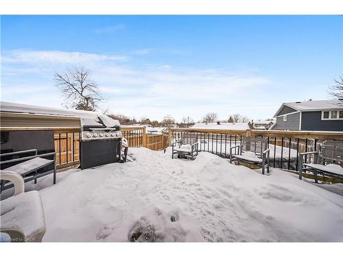 38 Hillbrook Crescent, Kitchener, ON - Outdoor